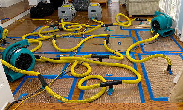 Professional Crawl Space Water Removal technician working in Saint Joseph, MN